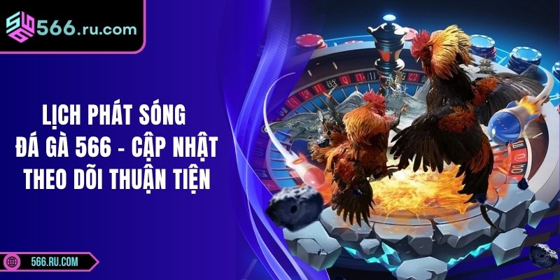 Lịch Phát Sóng Đá Gà 566 – Cập Nhật Theo Dõi Thuận Tiện